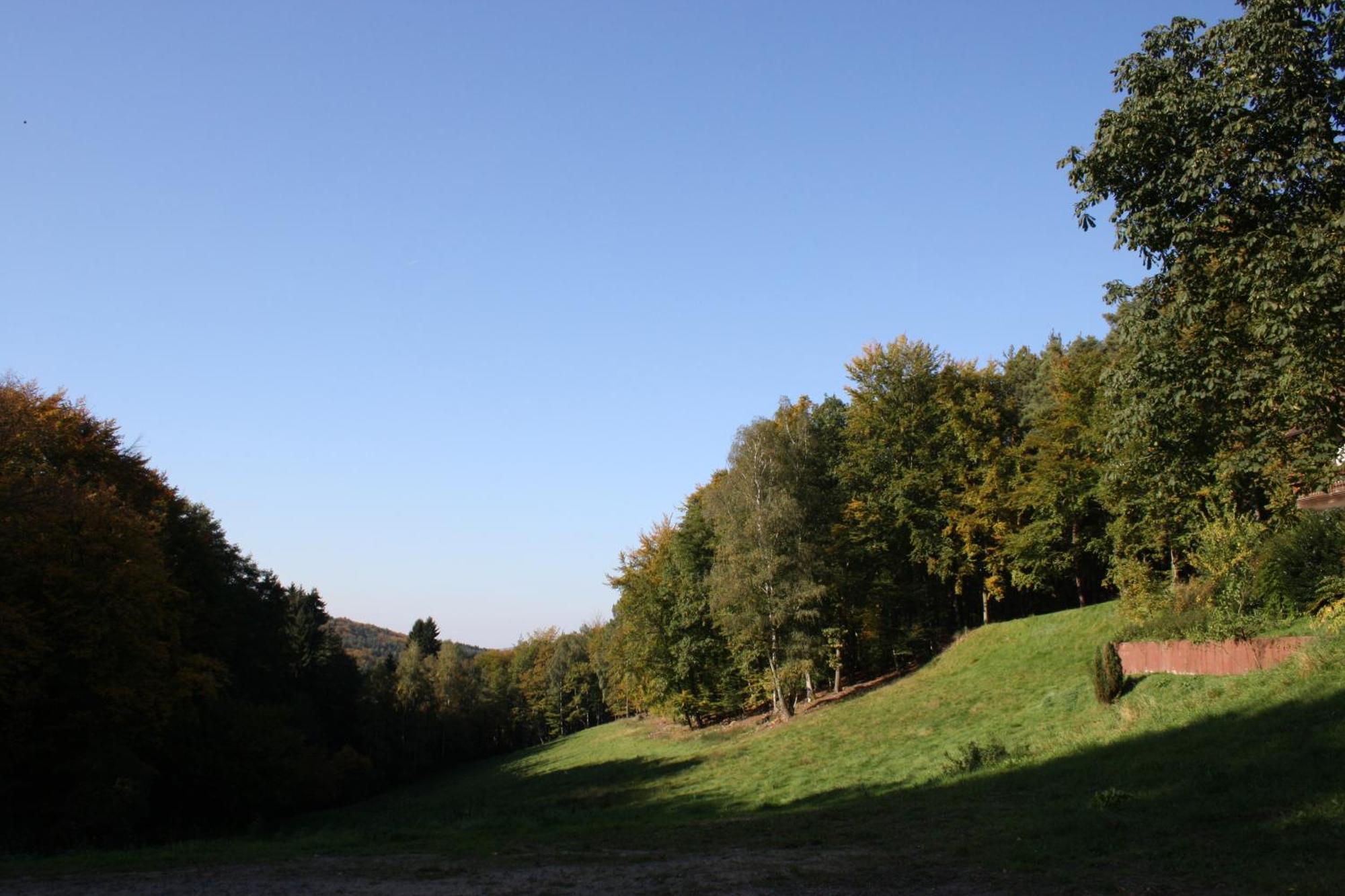 Wald-Hotel Heppe Dammbach Exteriör bild