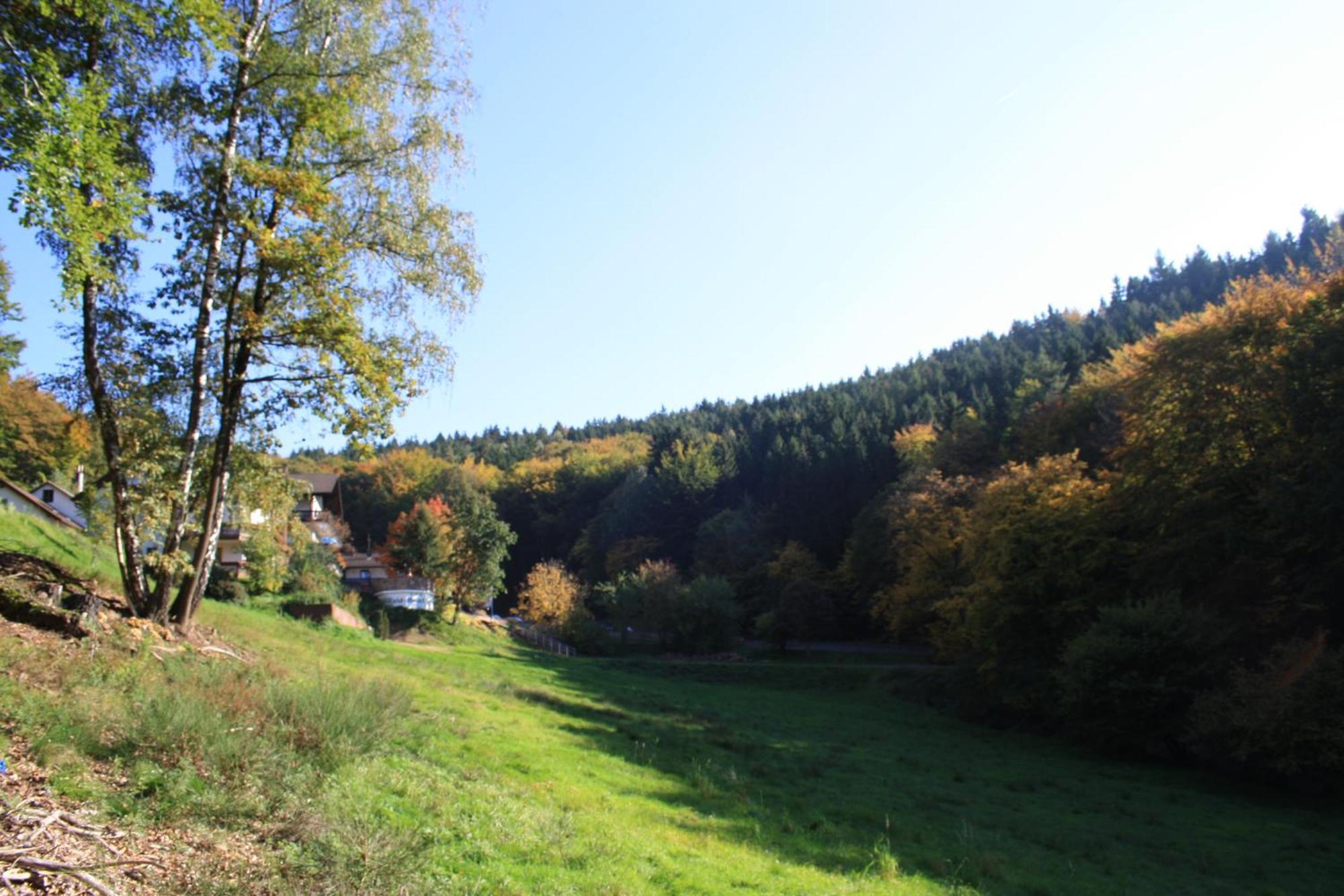 Wald-Hotel Heppe Dammbach Exteriör bild