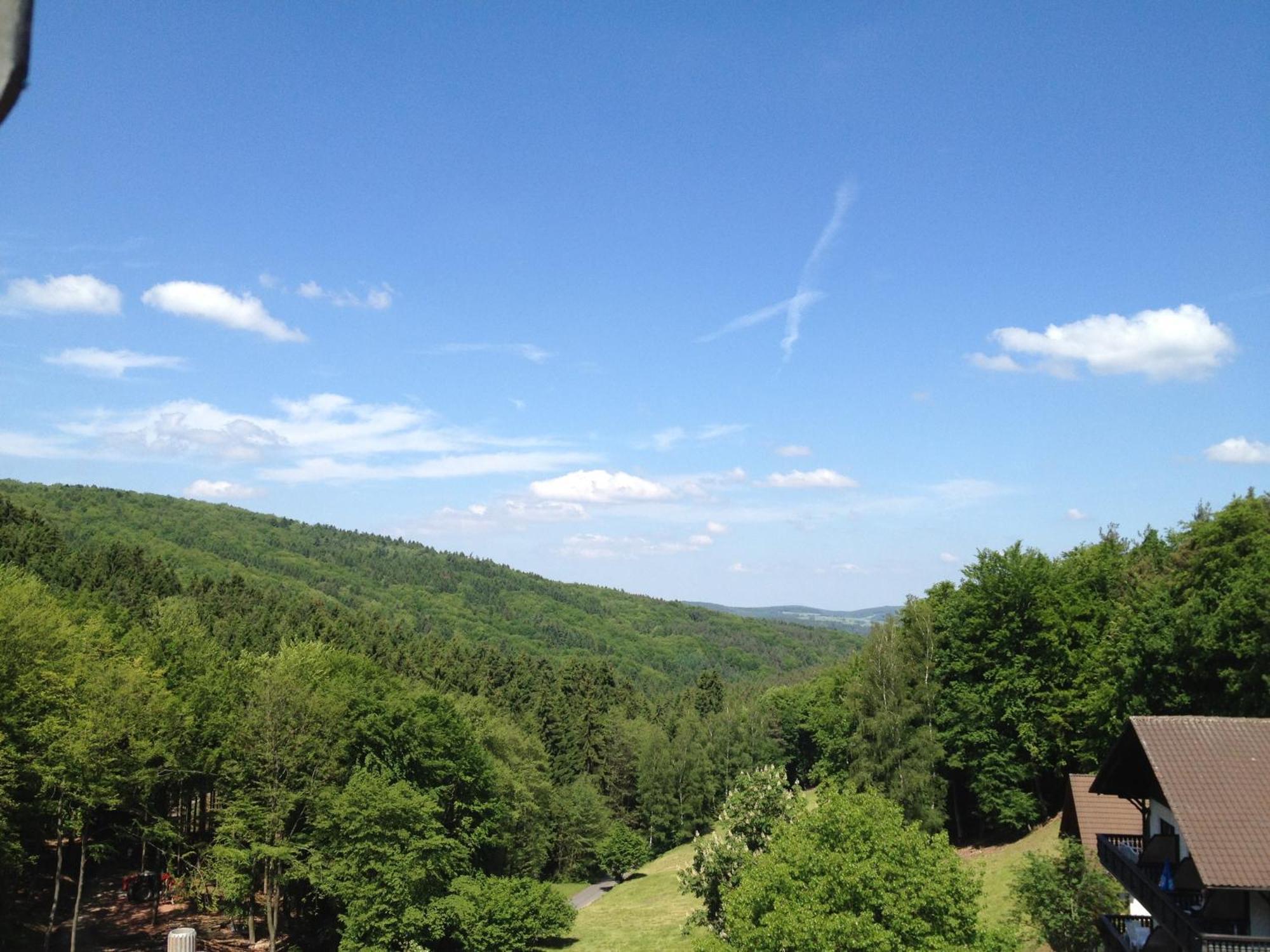 Wald-Hotel Heppe Dammbach Exteriör bild