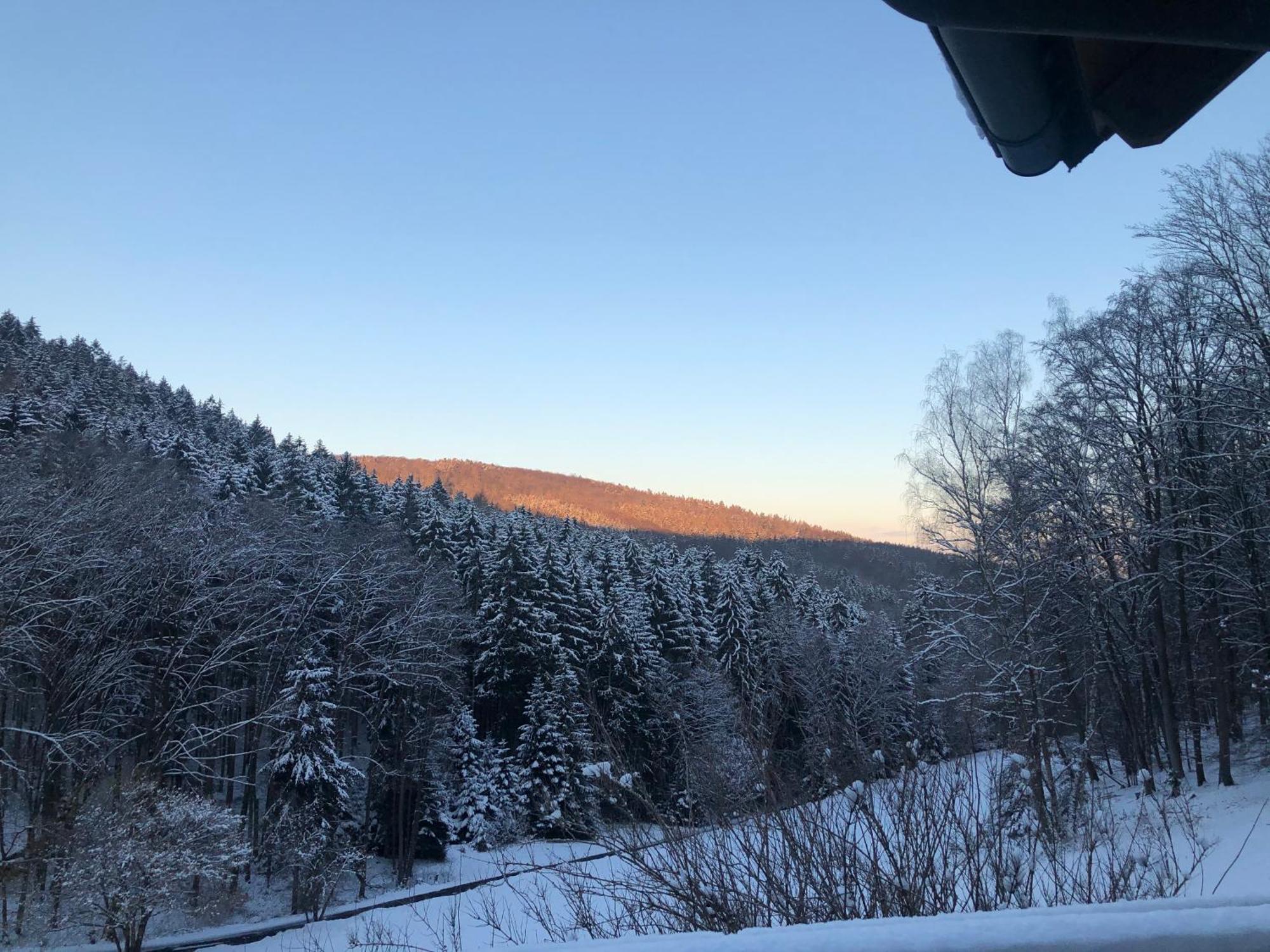 Wald-Hotel Heppe Dammbach Exteriör bild