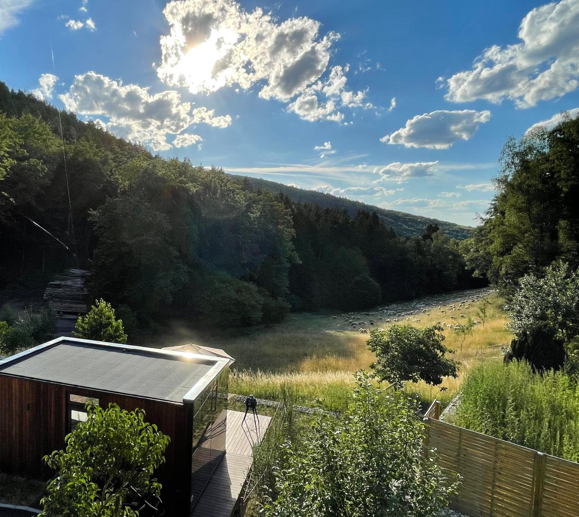 Wald-Hotel Heppe Dammbach Exteriör bild
