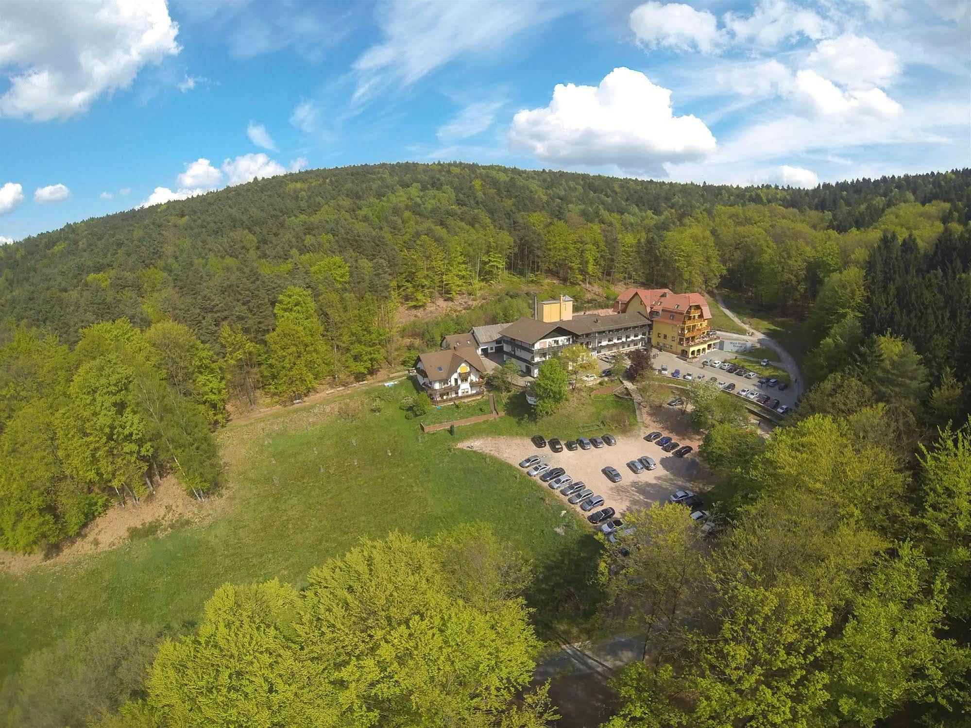 Wald-Hotel Heppe Dammbach Exteriör bild
